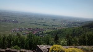 Blick auf Rhodt