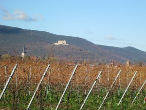 Blick auf das Hambacher Schloss