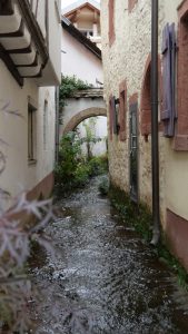 Kropsbach in St.Martin